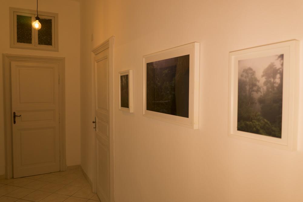 Trastevere Corner Eight Рим Екстериор снимка